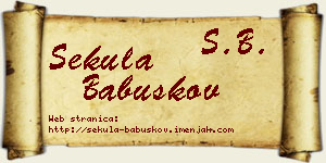 Sekula Babuškov vizit kartica